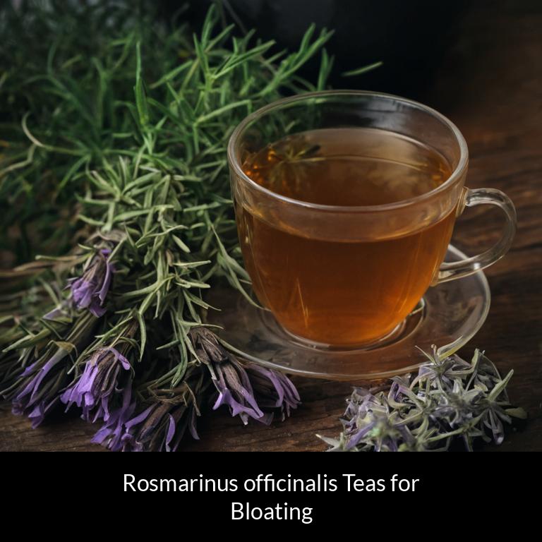 herbal teas for bloating rosmarinus officinalis herbs