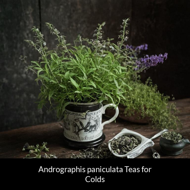 herbal teas for colds andrographis paniculata herbs