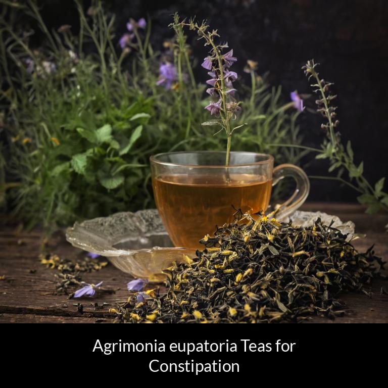 herbal teas for constipation agrimonia eupatoria herbs
