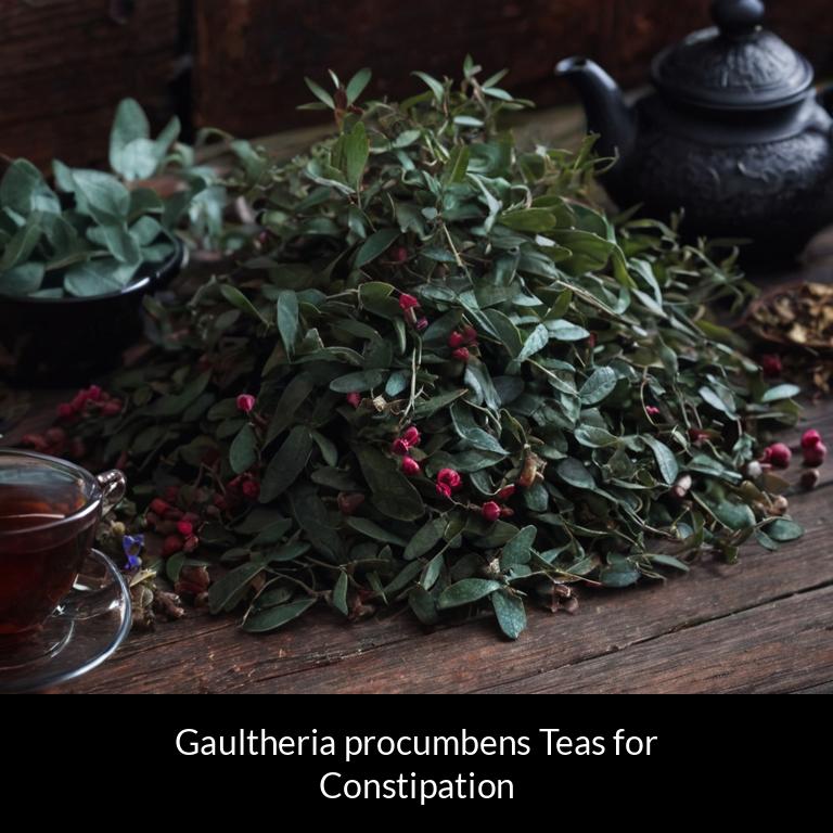 herbal teas for constipation gaultheria procumbens herbs