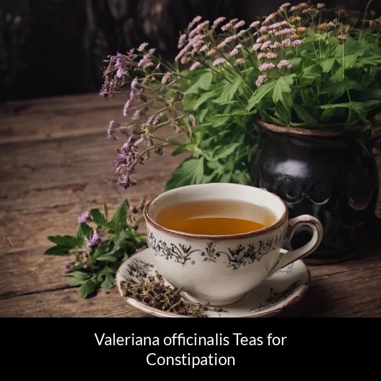 herbal teas for constipation valeriana officinalis herbs