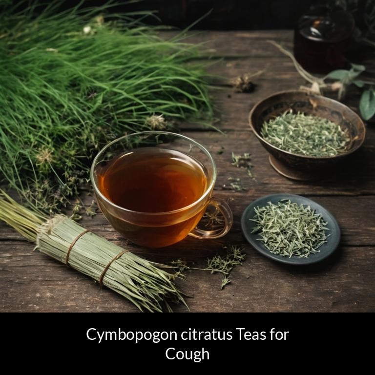 herbal teas for cough cymbopogon citratus herbs