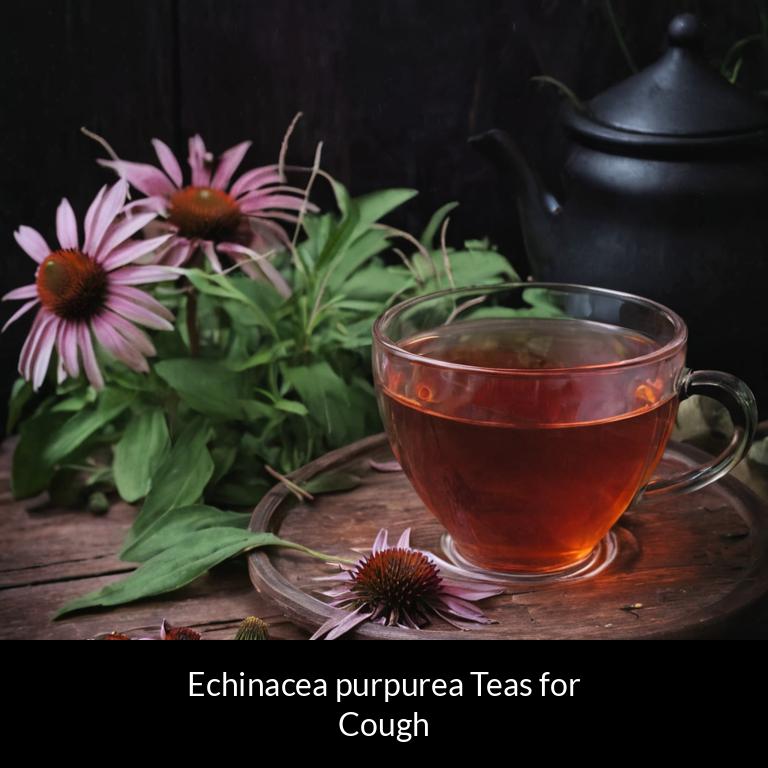 herbal teas for cough echinacea purpurea herbs
