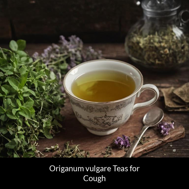 herbal teas for cough origanum vulgare herbs