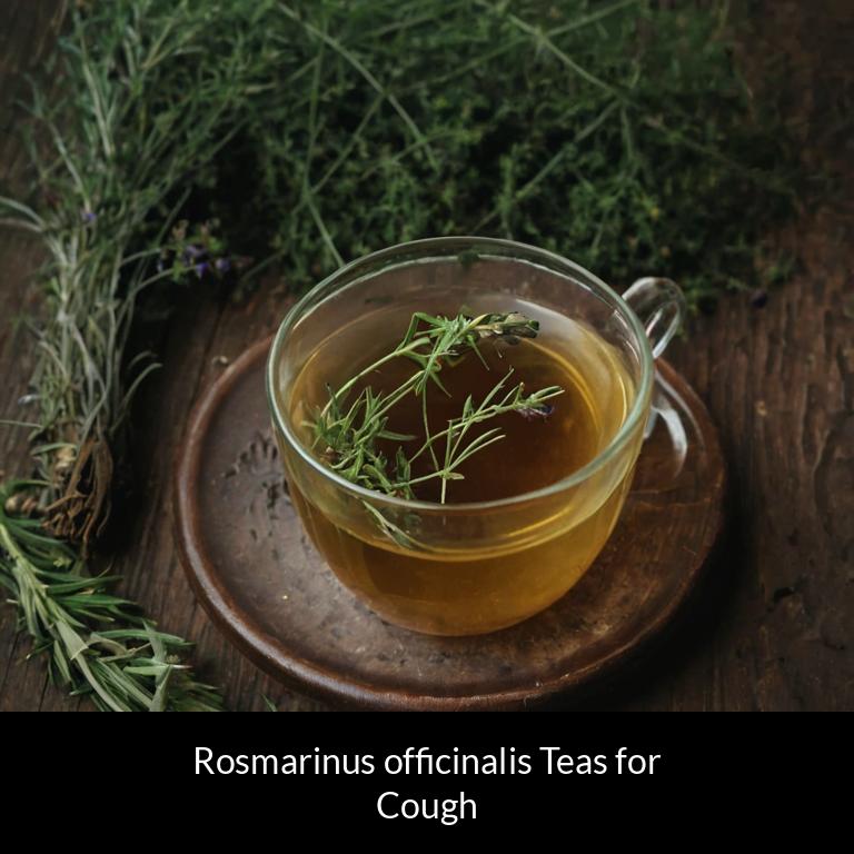 herbal teas for cough rosmarinus officinalis herbs