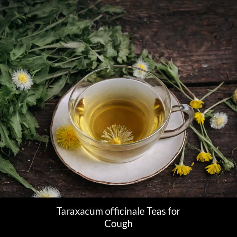 herbal teas for cough taraxacum officinale herbs