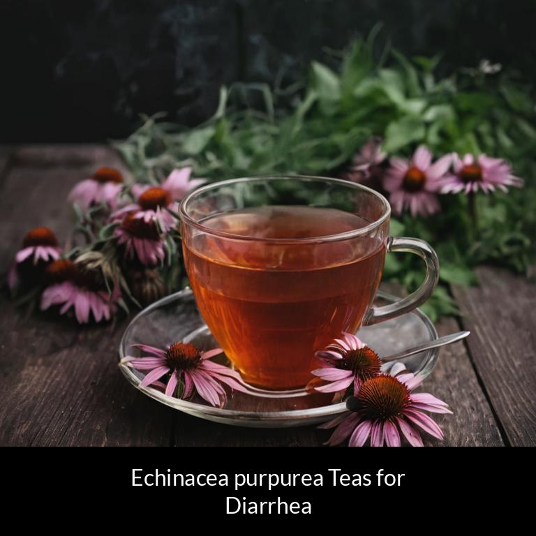 herbal teas for diarrhea echinacea purpurea herbs
