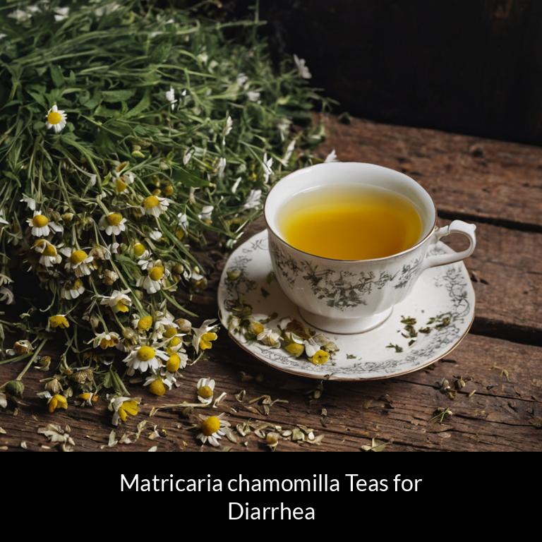 herbal teas for diarrhea matricaria chamomilla herbs