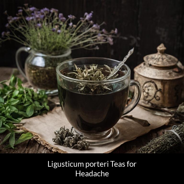 herbal teas for headache ligusticum porteri herbs