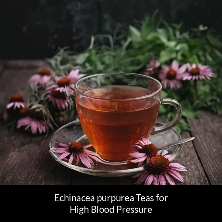 herbal teas for high blood pressure echinacea purpurea herbs