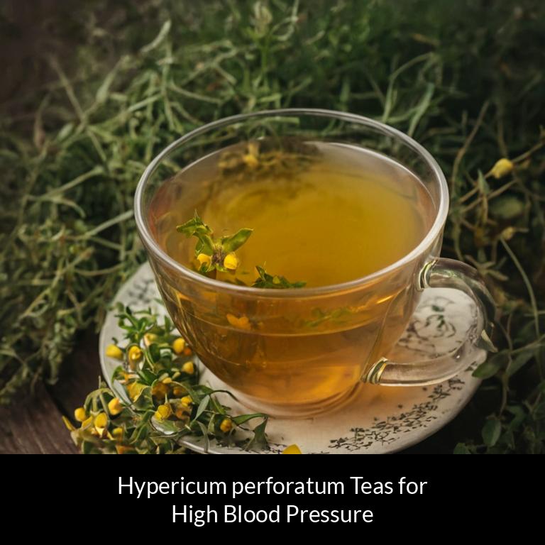 herbal teas for high blood pressure hypericum perforatum herbs