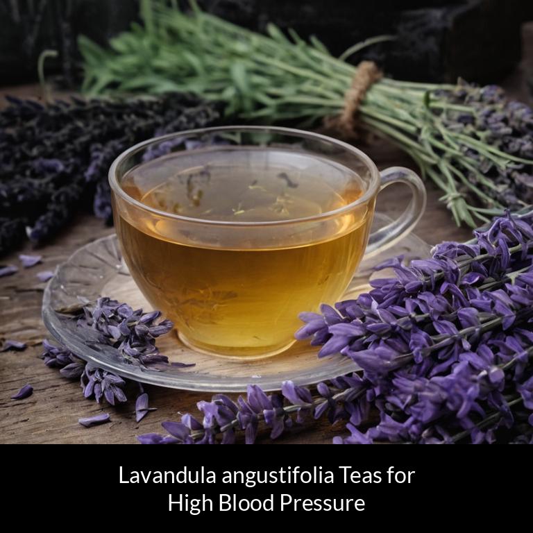 herbal teas for high blood pressure lavandula angustifolia herbs