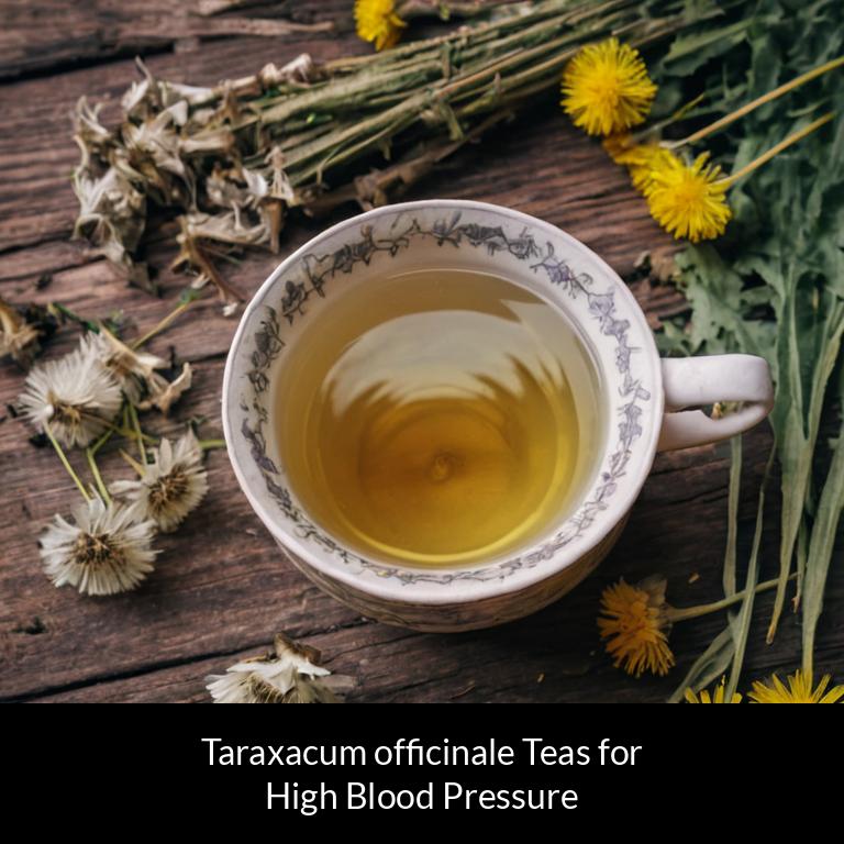 herbal teas for high blood pressure taraxacum officinale herbs
