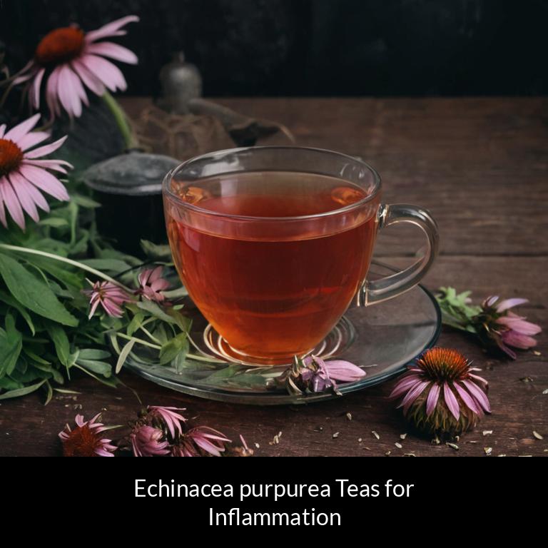herbal teas for inflammation echinacea purpurea herbs