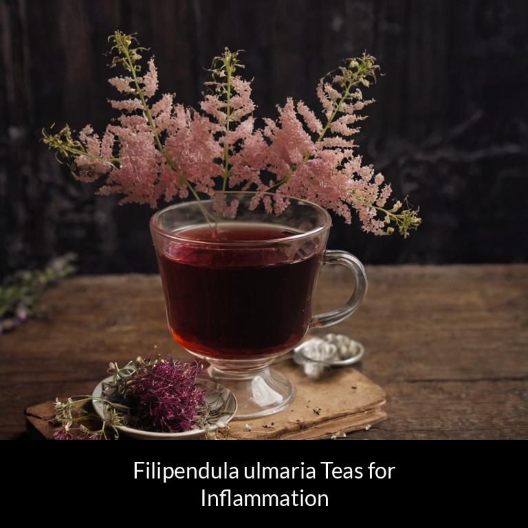 herbal teas for inflammation filipendula ulmaria herbs
