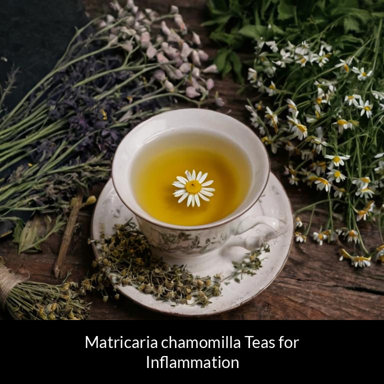 herbal teas for inflammation matricaria chamomilla herbs
