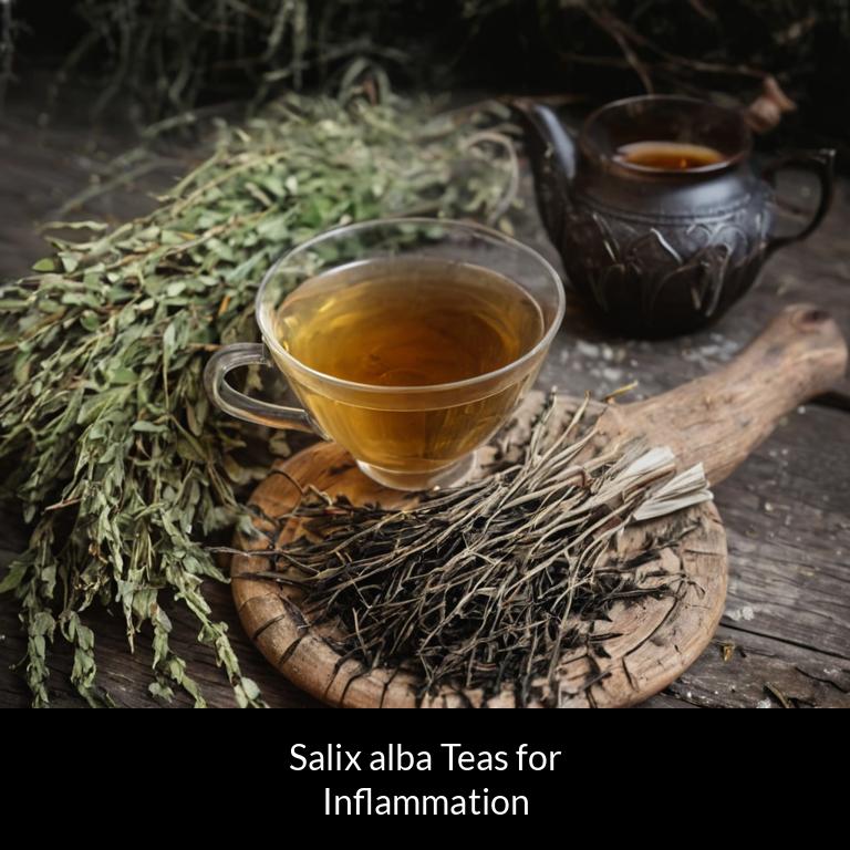 herbal teas for inflammation salix alba herbs