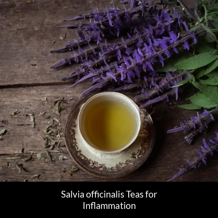 herbal teas for inflammation salvia officinalis herbs