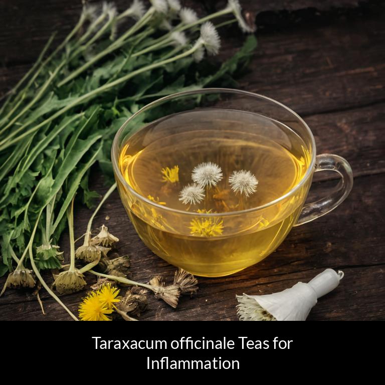 herbal teas for inflammation taraxacum officinale herbs