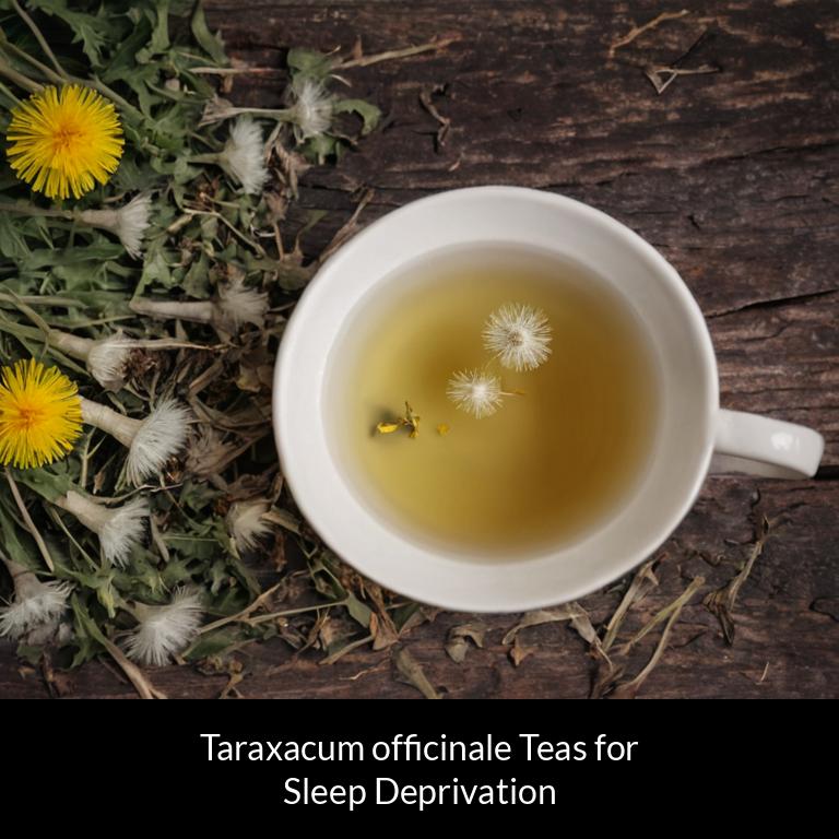 herbal teas for sleep deprivation taraxacum officinale herbs