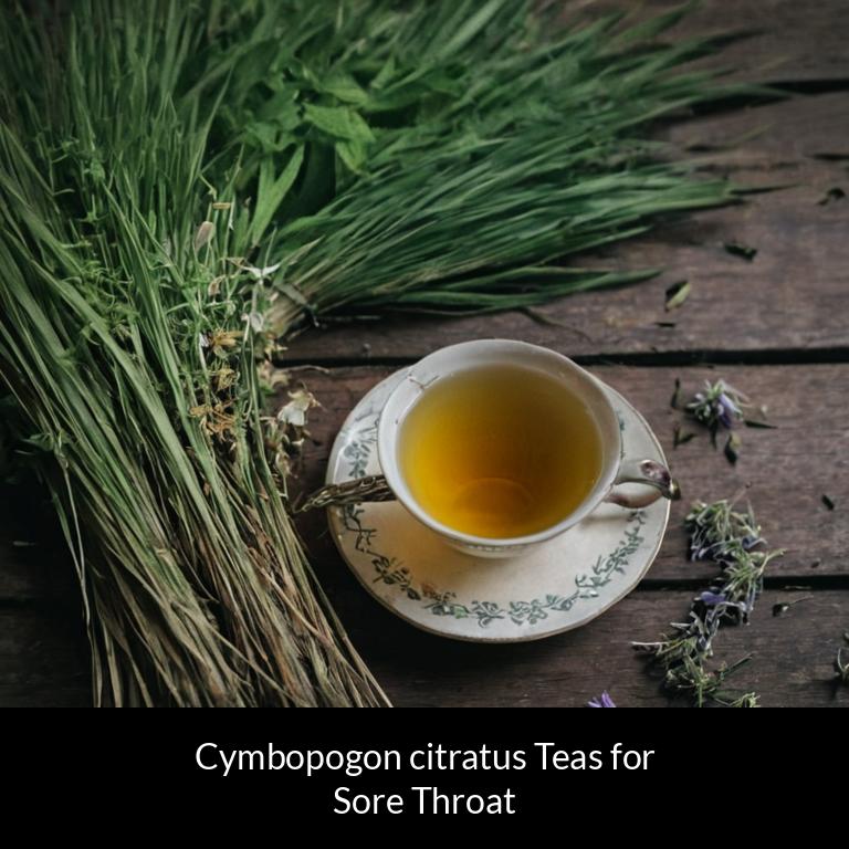 herbal teas for sore throat cymbopogon citratus herbs
