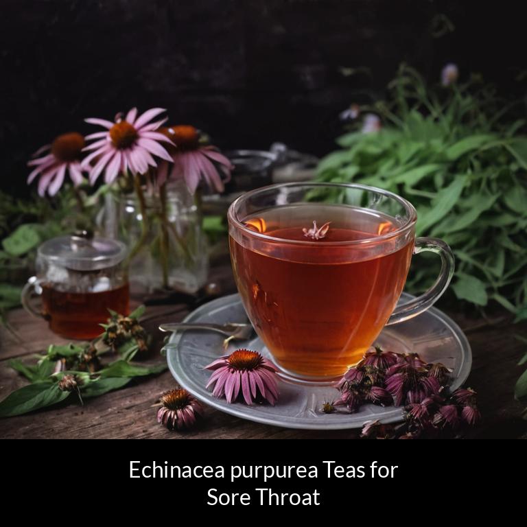 herbal teas for sore throat echinacea purpurea herbs