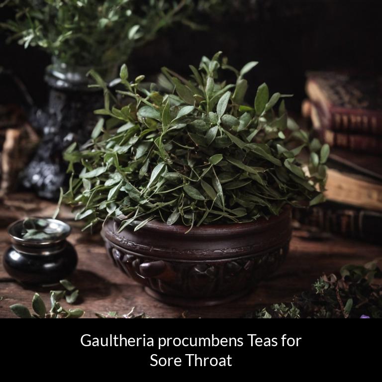 herbal teas for sore throat gaultheria procumbens herbs