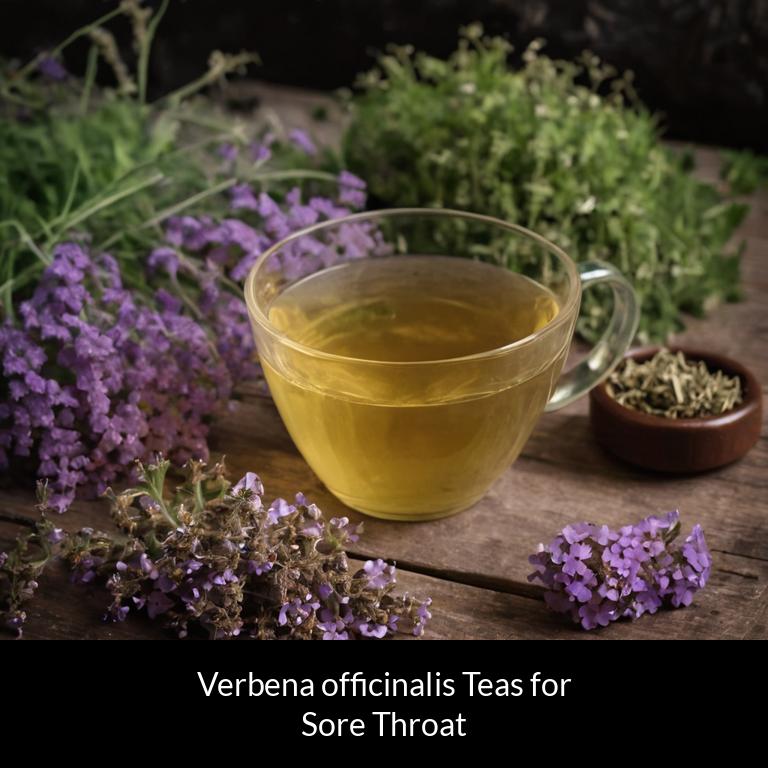 herbal teas for sore throat verbena officinalis herbs