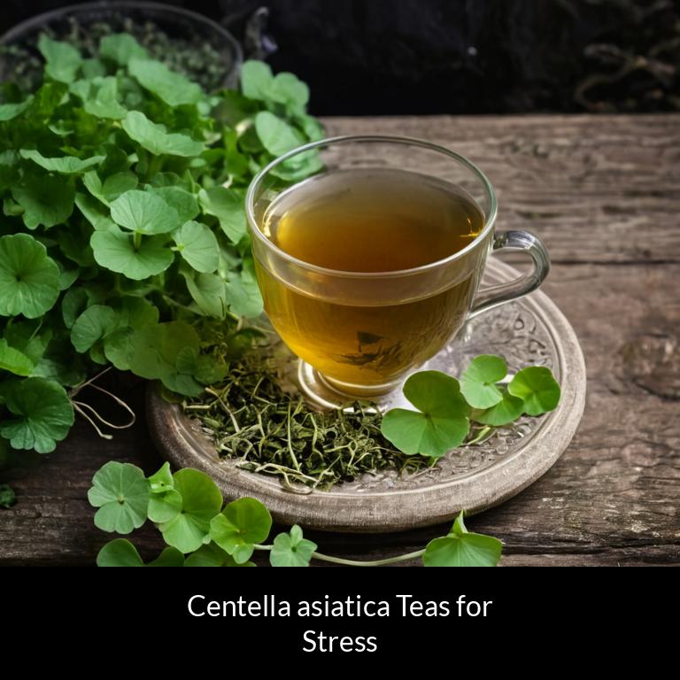 herbal teas for stress centella asiatica herbs