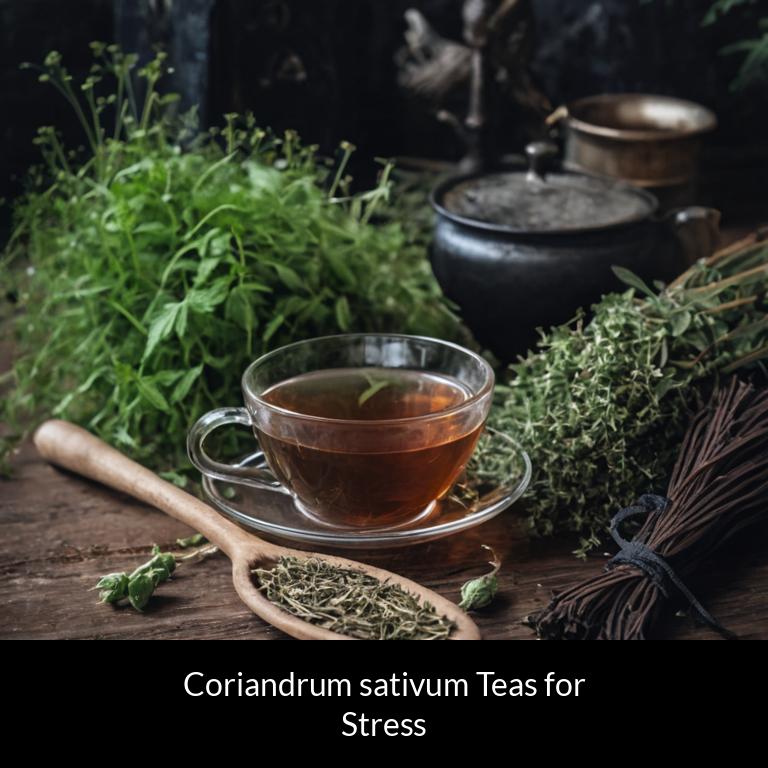 herbal teas for stress coriandrum sativum herbs