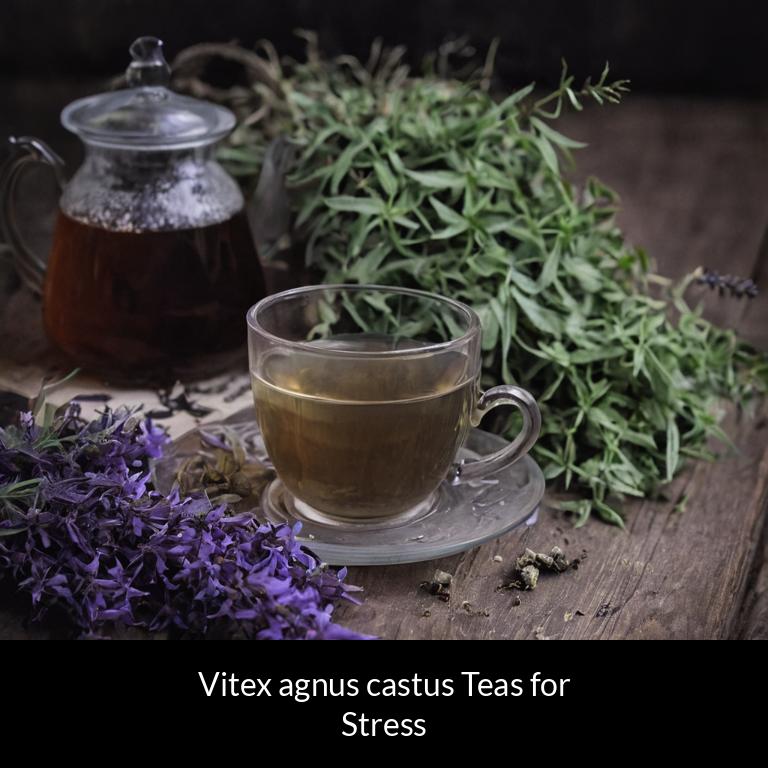herbal teas for stress vitex agnus castus herbs