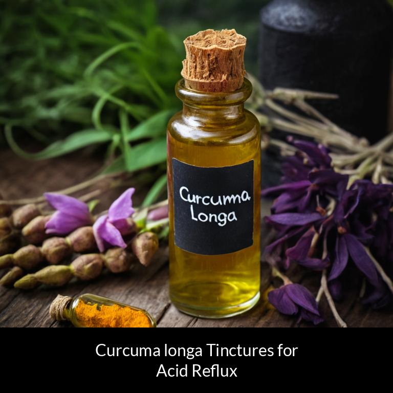 herbal tinctures for acid reflux curcuma longa herbs