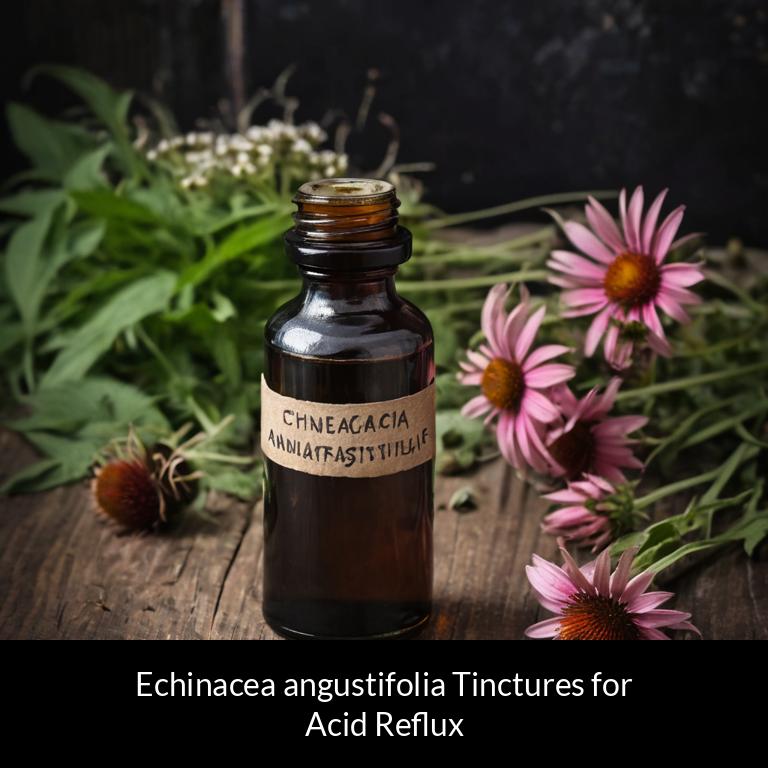 herbal tinctures for acid reflux echinacea angustifolia herbs