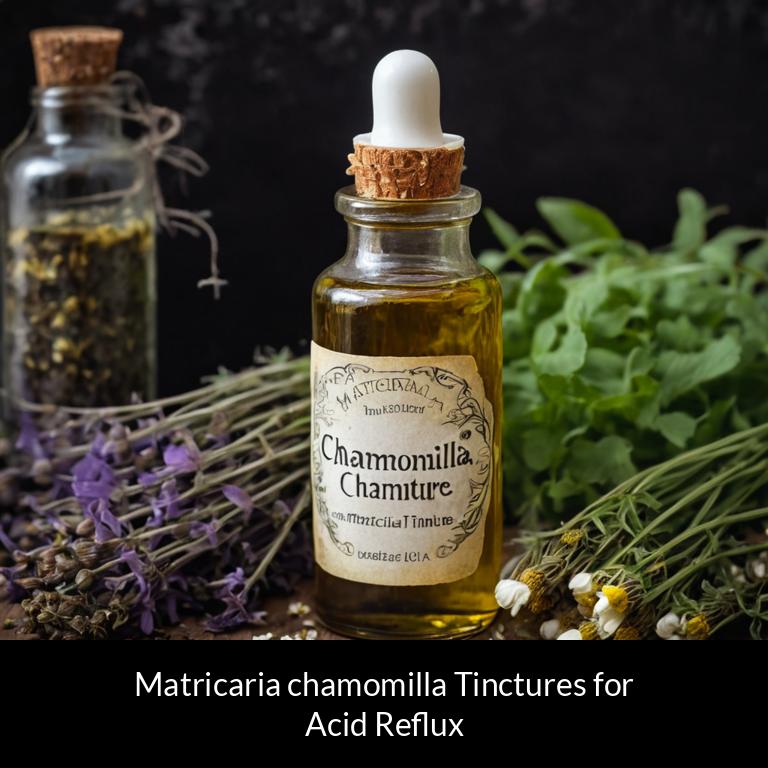 herbal tinctures for acid reflux matricaria chamomilla herbs