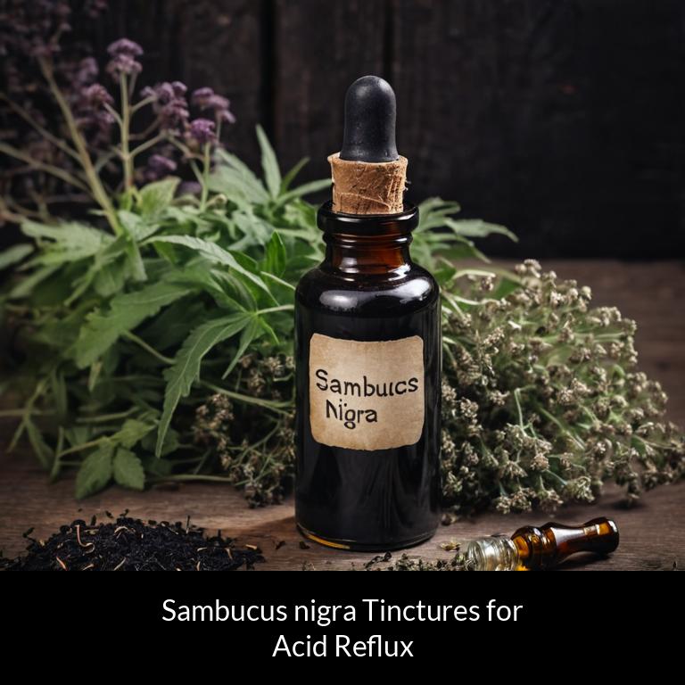 herbal tinctures for acid reflux sambucus nigra herbs