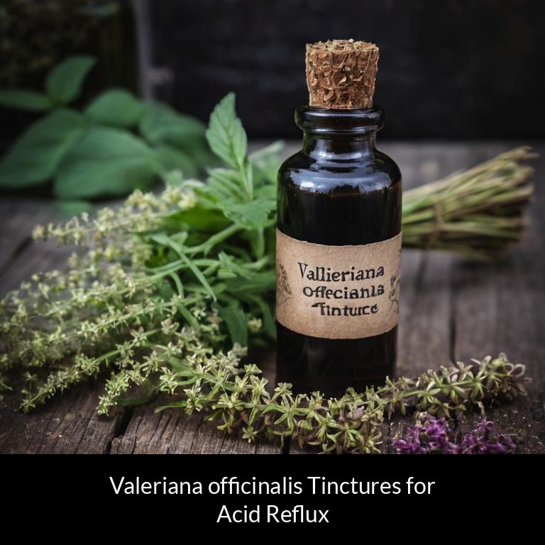 herbal tinctures for acid reflux valeriana officinalis herbs