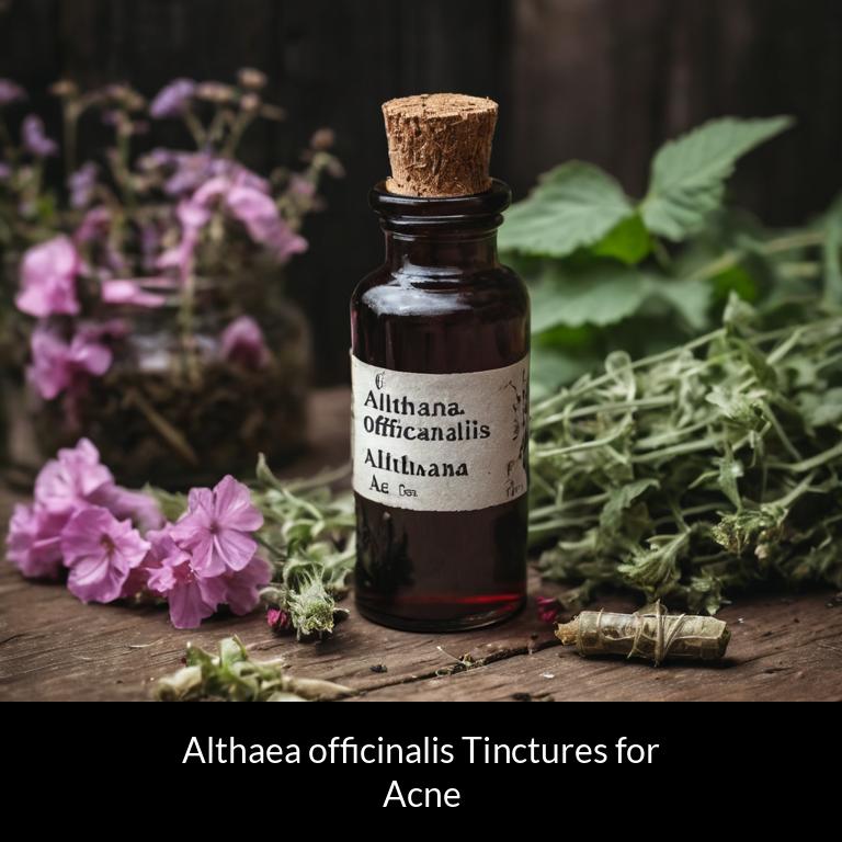 herbal tinctures for acne althaea officinalis herbs