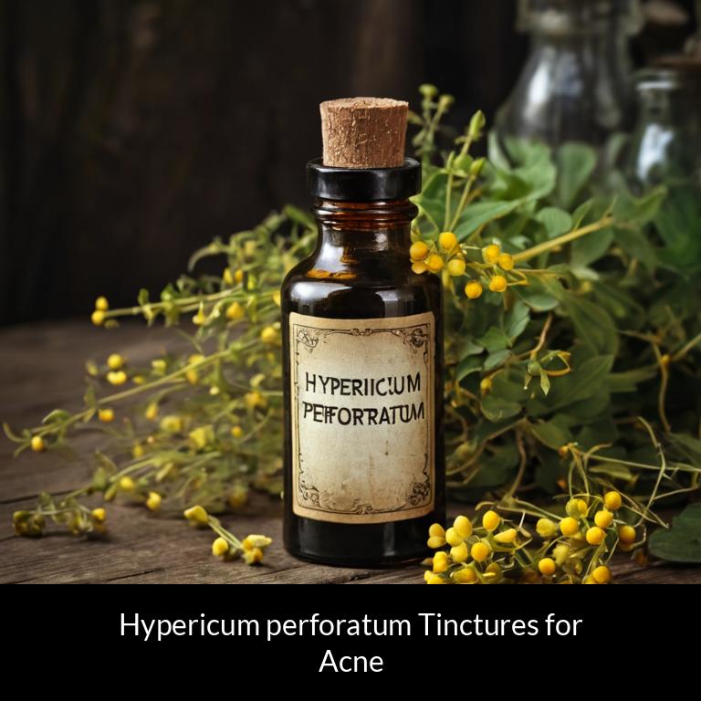 herbal tinctures for acne hypericum perforatum herbs