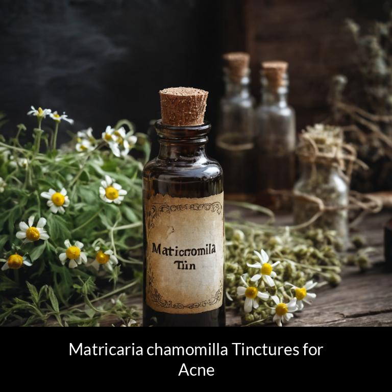 herbal tinctures for acne matricaria chamomilla herbs