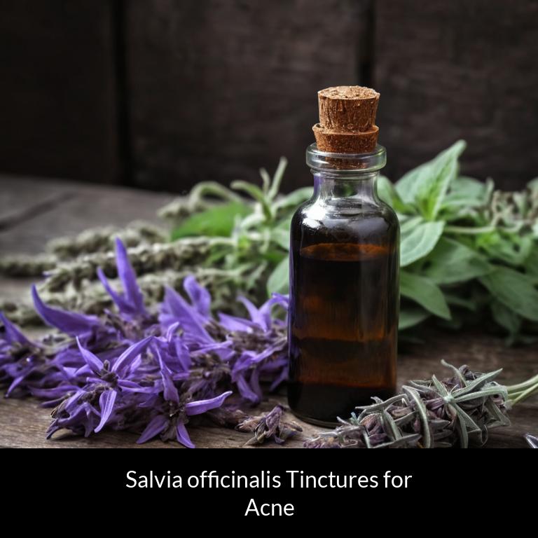 herbal tinctures for acne salvia officinalis herbs