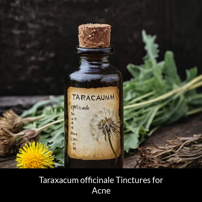 herbal tinctures for acne taraxacum officinale herbs
