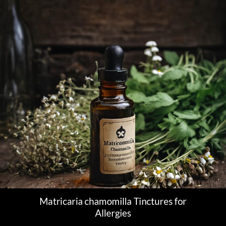 herbal tinctures for allergy matricaria chamomilla herbs