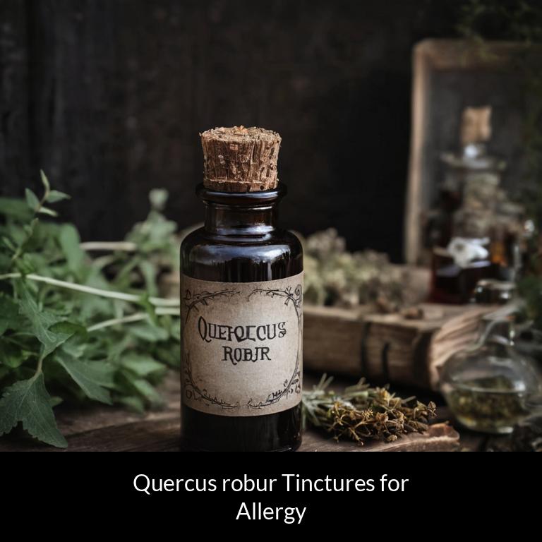 herbal tinctures for allergy quercus robur herbs