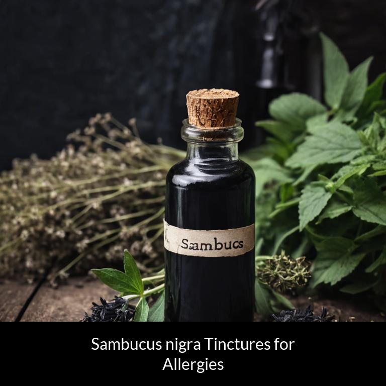 herbal tinctures for allergy sambucus nigra herbs