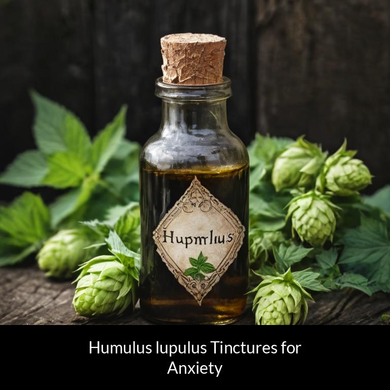 herbal tinctures for anxiety humulus lupulus herbs