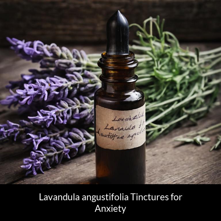 herbal tinctures for anxiety lavandula angustifolia herbs