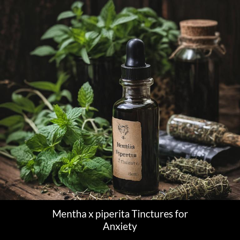 herbal tinctures for anxiety mentha x piperita herbs