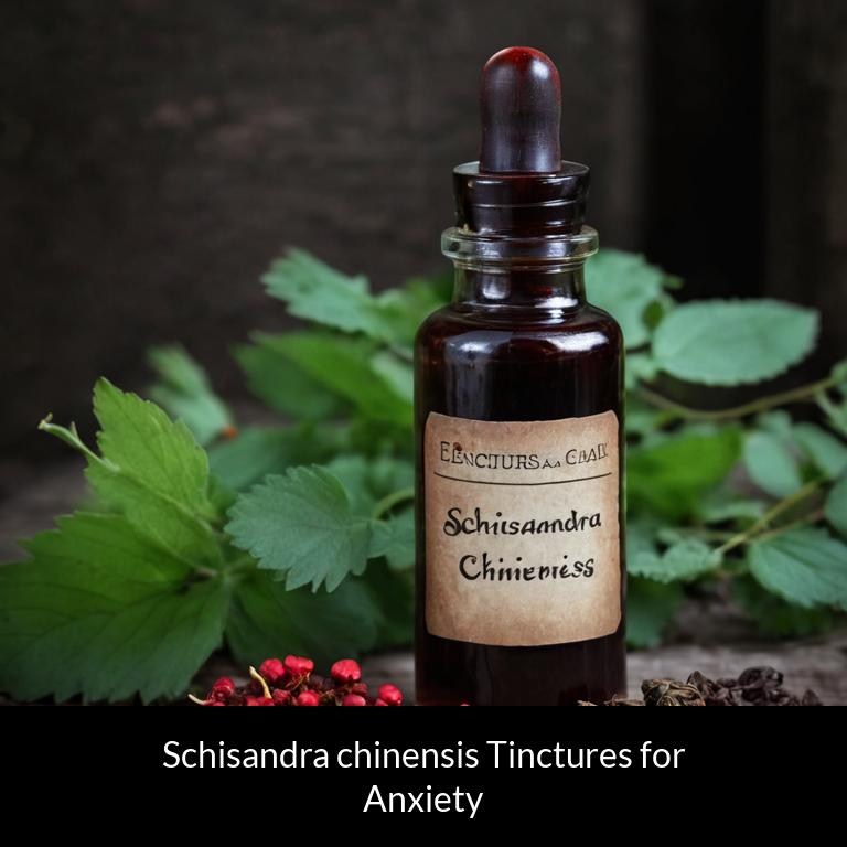 herbal tinctures for anxiety schisandra chinensis herbs