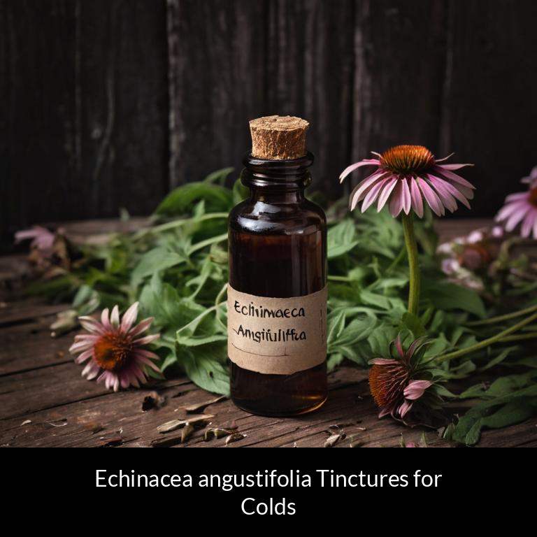herbal tinctures for colds echinacea angustifolia herbs