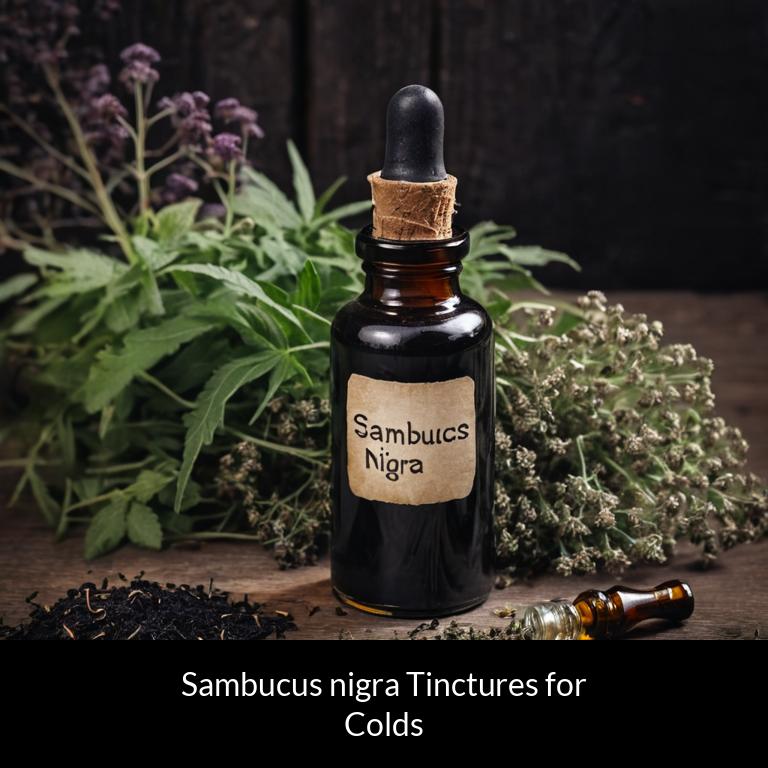 herbal tinctures for colds sambucus nigra herbs